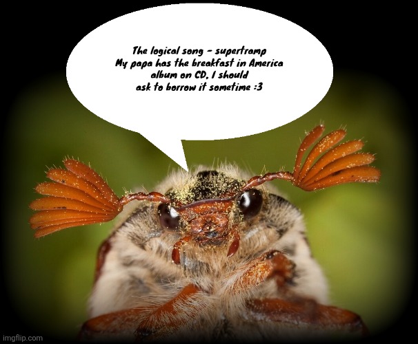 Doodlebug/odd announcement temp | The logical song - supertramp

My papa has the breakfast in America album on CD, I should ask to borrow it sometime :3 | image tagged in doodlebug/odd announcement temp | made w/ Imgflip meme maker