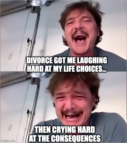 Divorce | DIVORCE GOT ME LAUGHING HARD AT MY LIFE CHOICES…; THEN CRYING HARD AT THE CONSEQUENCES | image tagged in pedro pascal,funny,divorce | made w/ Imgflip meme maker