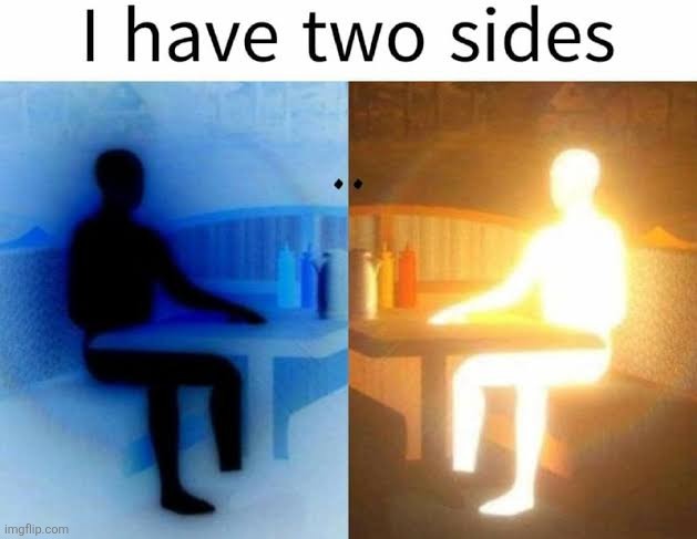 I have 2 sides | image tagged in i have 2 sides | made w/ Imgflip meme maker