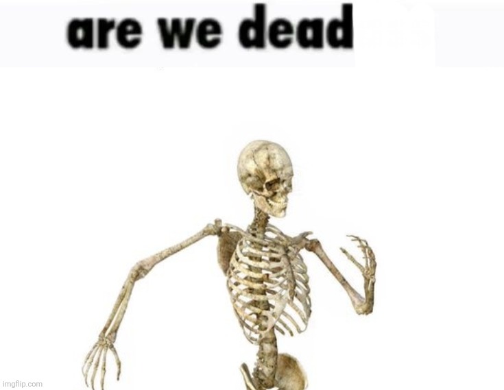 are we deadass | image tagged in are we deadass | made w/ Imgflip meme maker