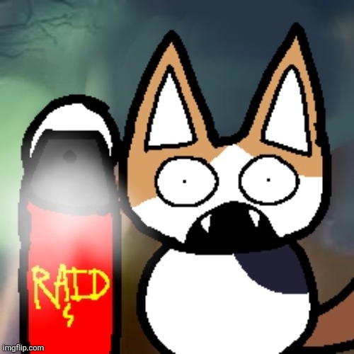 catto boi raid | image tagged in raid,meme,cat | made w/ Imgflip meme maker