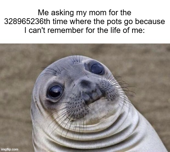 I can't even remember the simplest things sometimes lol | Me asking my mom for the 328965236th time where the pots go because I can't remember for the life of me: | image tagged in memes,awkward moment sealion,funny | made w/ Imgflip meme maker