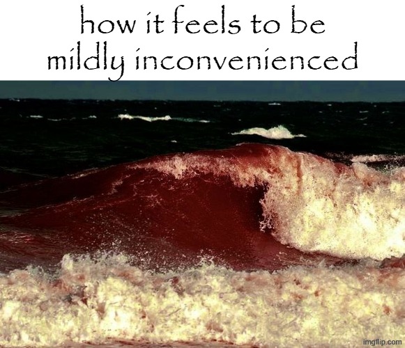 how it feels to be mildly inconvenienced | made w/ Imgflip meme maker