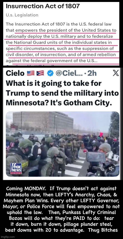 By Friday? | Coming MONDAY.  If Trump doesn't act against
Minnesota now, then LEFTY's Anarchy, Chaos, &
Mayhem Plan Wins. Every other LEFTY Governor,
Mayor, or Police Force will feel empowered to not
uphold the law.   Then, Punkass Lefty Criminal
Bozos will do what they're PAID to do:  tear
it down, burn it down, pillage plunder steal,
beat downs with 20 to advantage.  Thug Bitches | image tagged in memes,if they r not doin their job,send in the guys who will,law abiding citizens need help,civilization is at risk | made w/ Imgflip meme maker