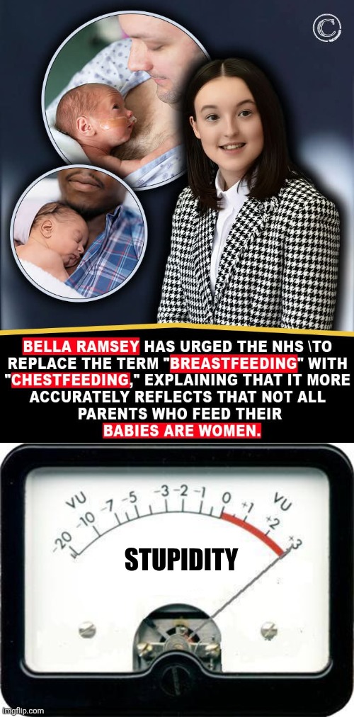 STUPIDITY | image tagged in irony meter,memes,politics | made w/ Imgflip meme maker