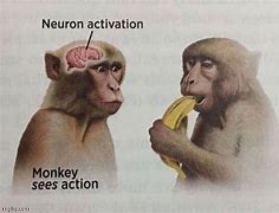 neuron activation | image tagged in neuron activation | made w/ Imgflip meme maker
