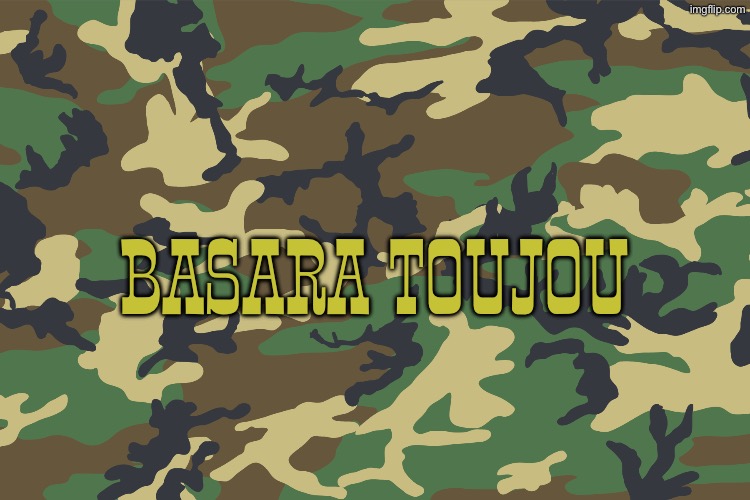 Camouflage | BASARA TOUJOU | image tagged in camouflage,shinmai maou no testament,anime,american,patriotic | made w/ Imgflip meme maker