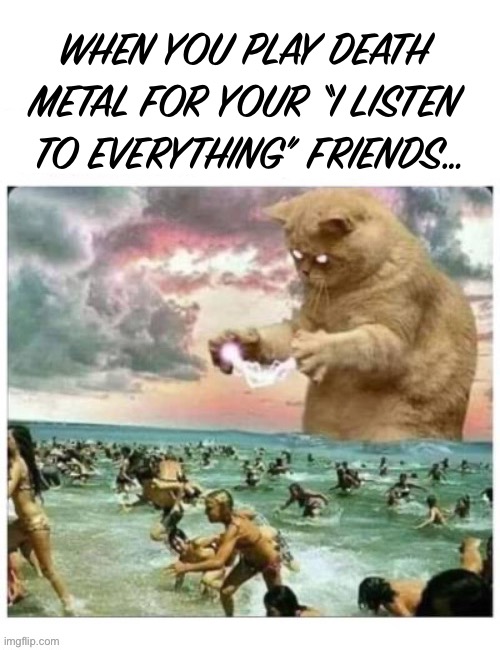Not quite “everything”… | WHEN YOU PLAY DEATH 
METAL FOR YOUR “I LISTEN 
TO EVERYTHING” FRIENDS… | image tagged in heavy metal,death metal,cat,i listen to everything,friends | made w/ Imgflip meme maker