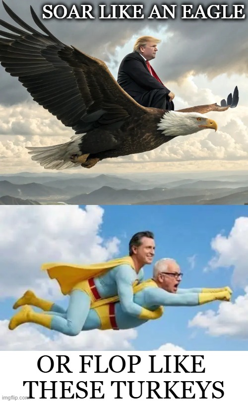 Choices | SOAR LIKE AN EAGLE; OR FLOP LIKE 
THESE TURKEYS | image tagged in donald trump,gavin newsom,bill walz,easy,choice,good vs evil | made w/ Imgflip meme maker
