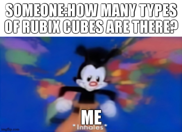 Yakko inhale | SOMEONE:HOW MANY TYPES OF RUBIX CUBES ARE THERE? ME | image tagged in yakko inhale | made w/ Imgflip meme maker