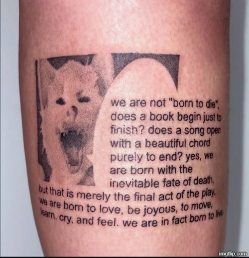 should i get ts tattoo | made w/ Imgflip meme maker