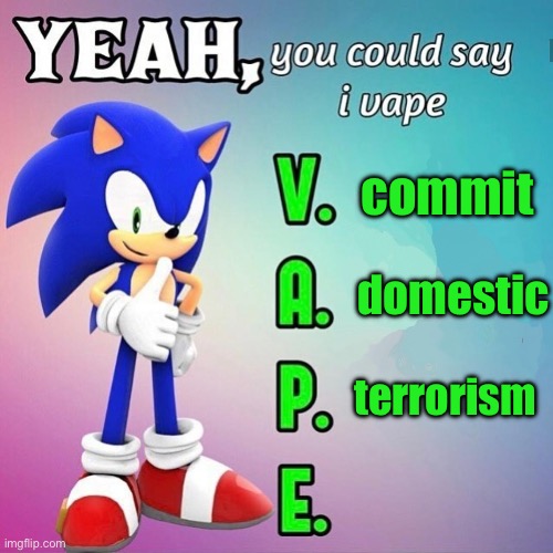 Yeah you could say I vape sonic | commit; domestic; terrorism | image tagged in yeah you could say i vape sonic | made w/ Imgflip meme maker