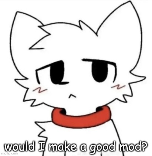 gangster shit | would I make a good mod? | image tagged in gangster shit | made w/ Imgflip meme maker