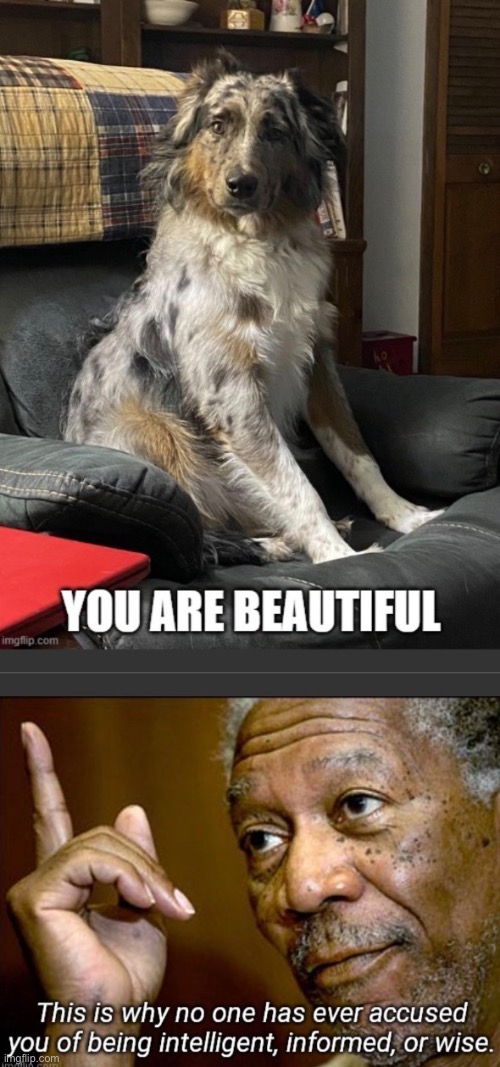 Found this at one point in the new section ToT | image tagged in certified bruh moment | made w/ Imgflip meme maker