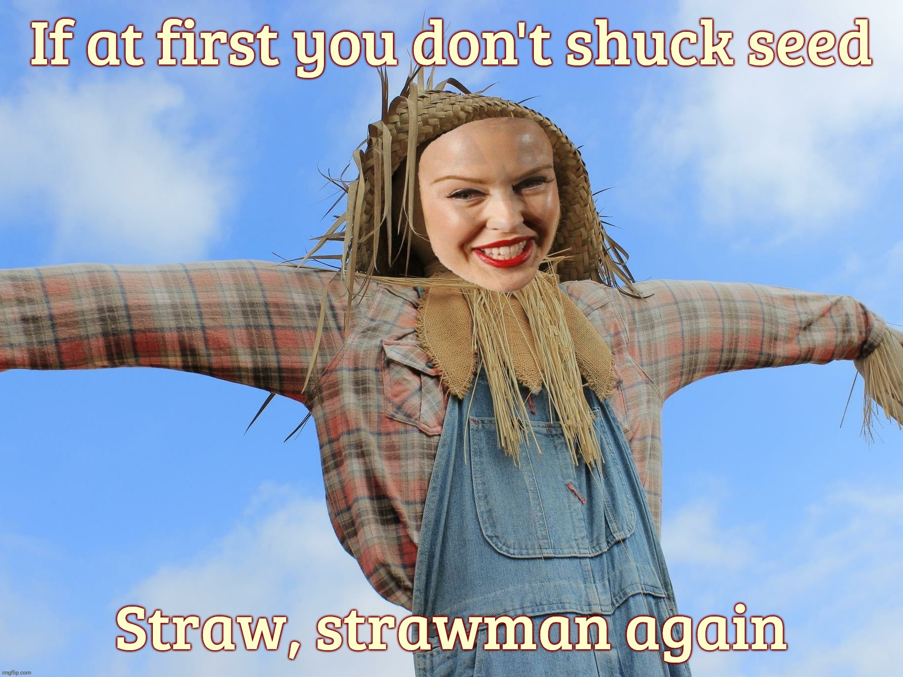 Kylie Strawman | If at first you don't shuck seed; Straw, strawman again | image tagged in kylie strawman | made w/ Imgflip meme maker