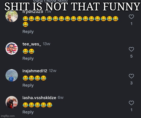 Shit is not that funny | SHIT IS NOT THAT FUNNY | image tagged in tag | made w/ Imgflip meme maker
