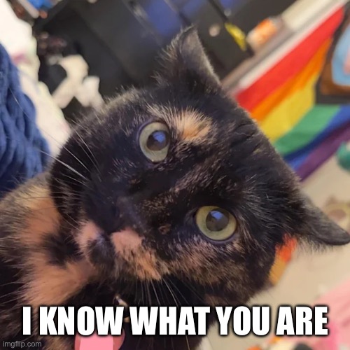 I KNOW WHAT YOU ARE | made w/ Imgflip meme maker