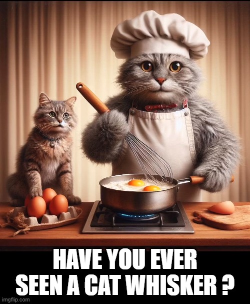 Have you ever seen a cat whisker before?   --  funny  -- | HAVE YOU EVER SEEN A CAT WHISKER ? | image tagged in cat,kittens,funny,humor,joke | made w/ Imgflip meme maker