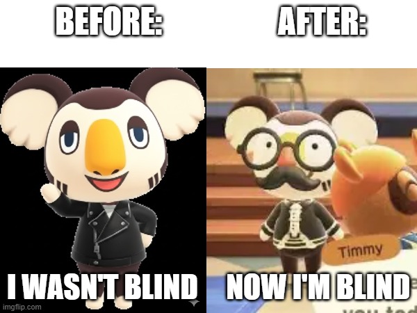 Young Eugene | BEFORE:                   AFTER:; I WASN'T BLIND     NOW I'M BLIND | image tagged in blind,young,koala,memes,animal crossing,gemini | made w/ Imgflip meme maker