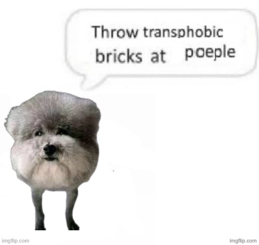 p | image tagged in throw bricks at transphobic people | made w/ Imgflip meme maker
