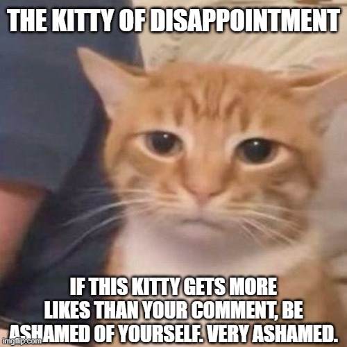 The Kitty of Shame | THE KITTY OF DISAPPOINTMENT; IF THIS KITTY GETS MORE LIKES THAN YOUR COMMENT, BE ASHAMED OF YOURSELF. VERY ASHAMED. | image tagged in funny cats,comments,funny memes | made w/ Imgflip meme maker