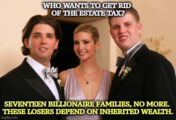 WHO WANTS TO GET RID 
OF THE ESTATE TAX? SEVENTEEN BILLIONAIRE FAMILIES, NO MORE. 
THESE LOSERS DEPEND ON INHERITED WEALTH. | image tagged in estate tax,death tax,billionaire,rich,wealth | made w/ Imgflip meme maker