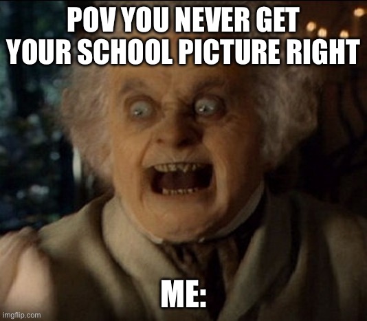 Bilbo Wrath | POV YOU NEVER GET YOUR SCHOOL PICTURE RIGHT; ME: | image tagged in bilbo wrath | made w/ Imgflip meme maker