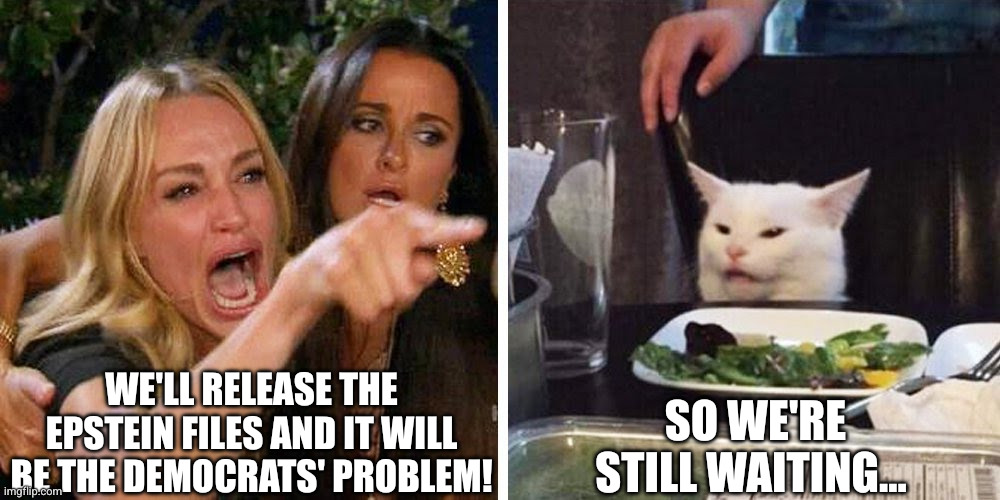 Republicans censoring the truth | WE'LL RELEASE THE EPSTEIN FILES AND IT WILL BE THE DEMOCRATS' PROBLEM! SO WE'RE STILL WAITING... | image tagged in smudge the cat,memes,jeffrey epstein,republicans,cover up,democrats | made w/ Imgflip meme maker