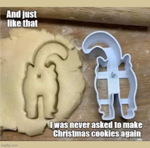 What’s wrong with these? | image tagged in cats,christmas,cookies,cookie cutter,butthole,never asked again | made w/ Imgflip meme maker
