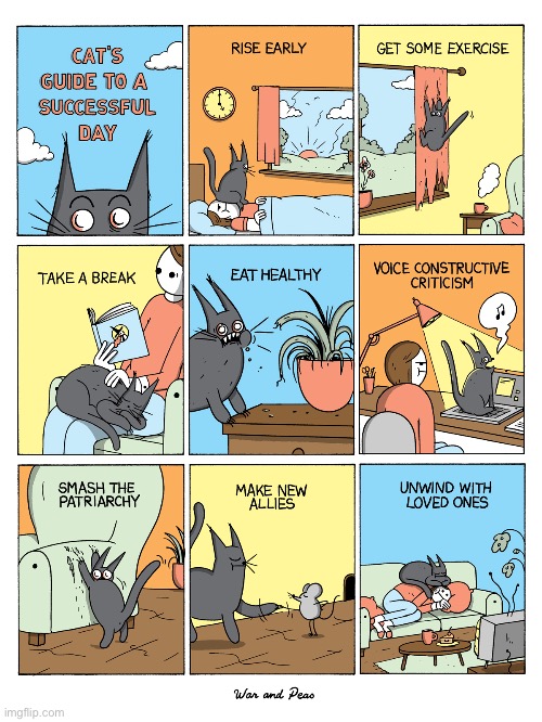 It needs more naps to really be successful… | image tagged in cats,comics,war and peas,guide,successful day | made w/ Imgflip meme maker