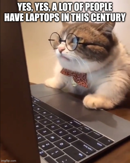 research cat | YES, YES, A LOT OF PEOPLE HAVE LAPTOPS IN THIS CENTURY | image tagged in research cat | made w/ Imgflip meme maker