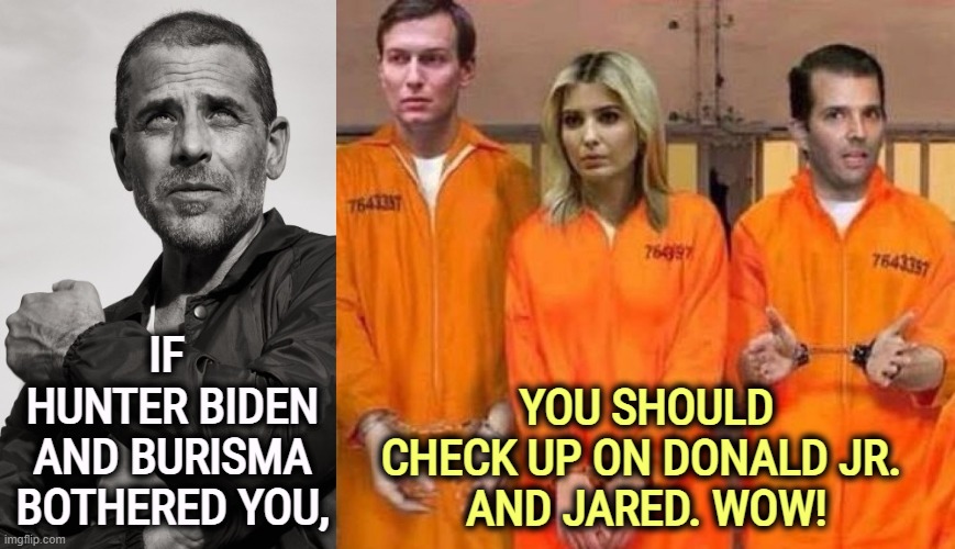 Hunter Biden Burisma, Donald Trump Jr. everywhere. | YOU SHOULD
CHECK UP ON DONALD JR. 
AND JARED. WOW! IF 
HUNTER BIDEN AND BURISMA BOTHERED YOU, | image tagged in hunter biden burisma donald trump jr everywhere,hunter biden,burisma,donald trump jr,jared kushner,corruption | made w/ Imgflip meme maker
