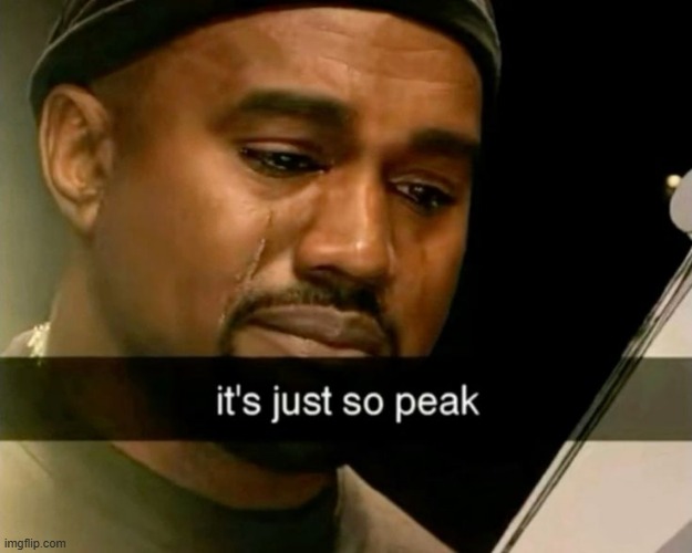 image tagged in its just so peak | made w/ Imgflip meme maker