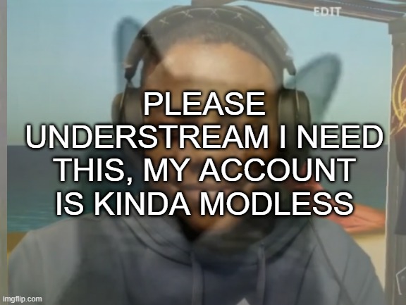 Hamburger overdoze | PLEASE UNDERSTREAM I NEED THIS, MY ACCOUNT IS KINDA MODLESS | image tagged in sans of topic,go commit vehicular manslaughter | made w/ Imgflip meme maker