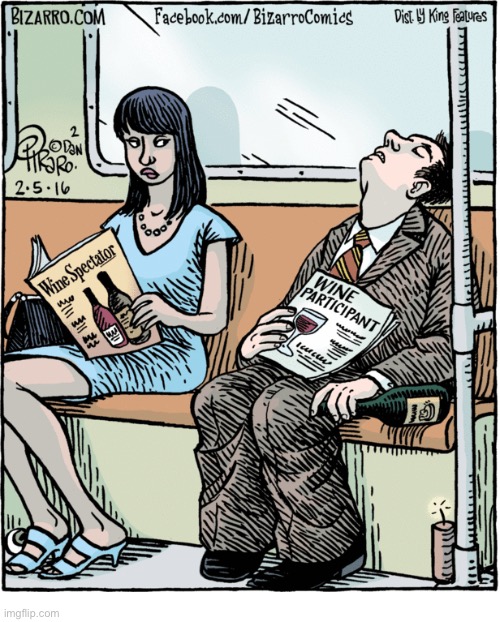 Bizarro Comics | image tagged in comics,bizarro comics,wine,spectator,participant,drunk | made w/ Imgflip meme maker