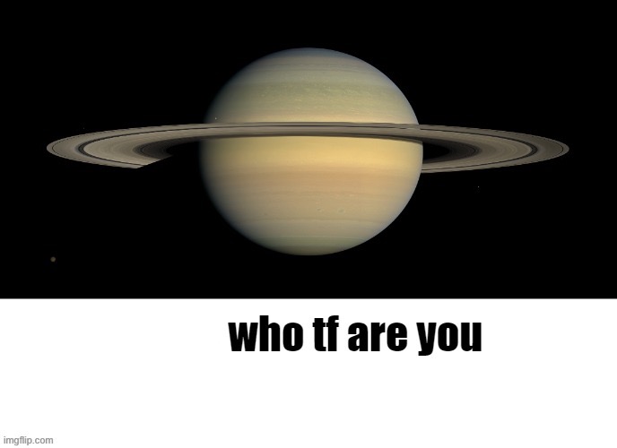 image tagged in bruh who tf are you lmaooo | made w/ Imgflip meme maker