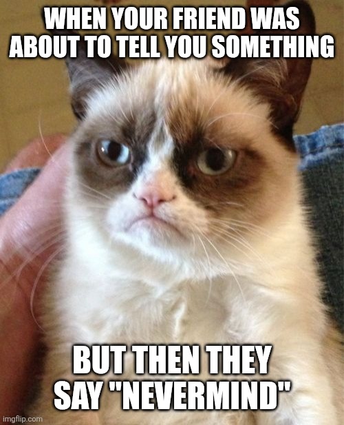 Grumpy Cat | WHEN YOUR FRIEND WAS ABOUT TO TELL YOU SOMETHING; BUT THEN THEY SAY "NEVERMIND" | image tagged in memes,grumpy cat,funny,cat,relatable | made w/ Imgflip meme maker