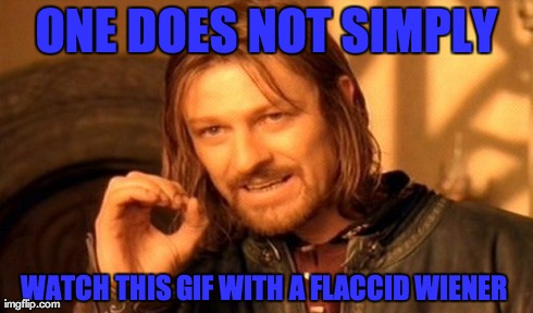 One Does Not Simply Meme | ONE DOES NOT SIMPLY WATCH THIS GIF WITH A FLACCID WIENER | image tagged in memes,one does not simply | made w/ Imgflip meme maker