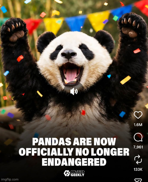 LETS GOOOO | image tagged in panda,happy,pandas,endangered,panda bear | made w/ Imgflip meme maker