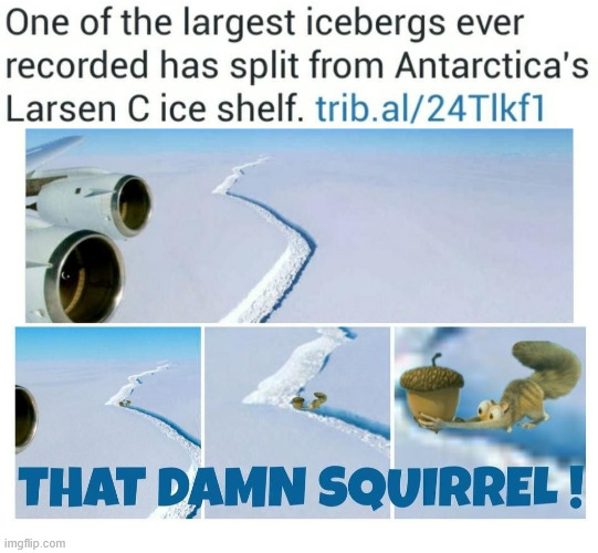 Scrat did it again | image tagged in ice age,humor,scrat,latticeclimbing,memes,lattice climbing | made w/ Imgflip meme maker