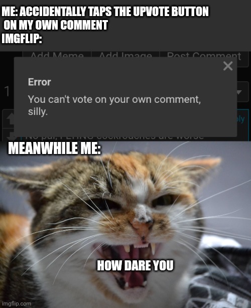 ME: ACCIDENTALLY TAPS THE UPVOTE BUTTON
 ON MY OWN COMMENT 
IMGFLIP:; MEANWHILE ME:; HOW DARE YOU | image tagged in hissy | made w/ Imgflip meme maker