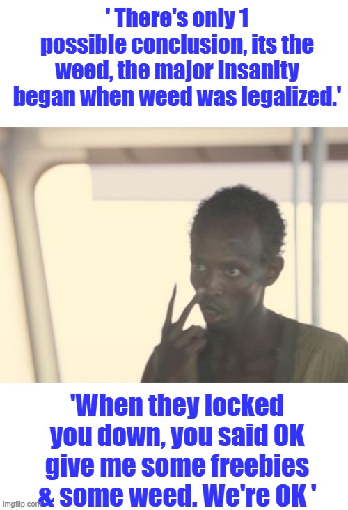 The gov. wouldn't mess with your weed, would they? | ' There's only 1 possible conclusion, its the weed, the major insanity began when weed was legalized.'; 'When they locked you down, you said OK give me some freebies & some weed. We're OK ' | image tagged in memes,i'm the captain now | made w/ Imgflip meme maker