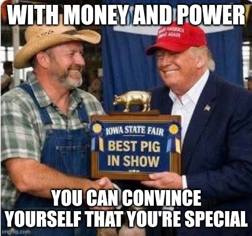 Oink oink. We already knew he was a pig towards women | WITH MONEY AND POWER; YOU CAN CONVINCE YOURSELF THAT YOU'RE SPECIAL | image tagged in donald trump gifted awards,donald trump,pig,nobel prize,narcissist | made w/ Imgflip meme maker
