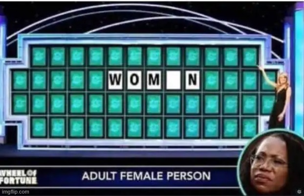 When a Supreme Court Justice Isn't as Smart as a Fifth Grader... | image tagged in embarrassing,professionals have standards,woman,confused confusing confusion,dumb people,supreme court | made w/ Imgflip meme maker