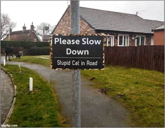 You Have Been Warned ! | image tagged in cats,slow down,stupid signs | made w/ Imgflip meme maker