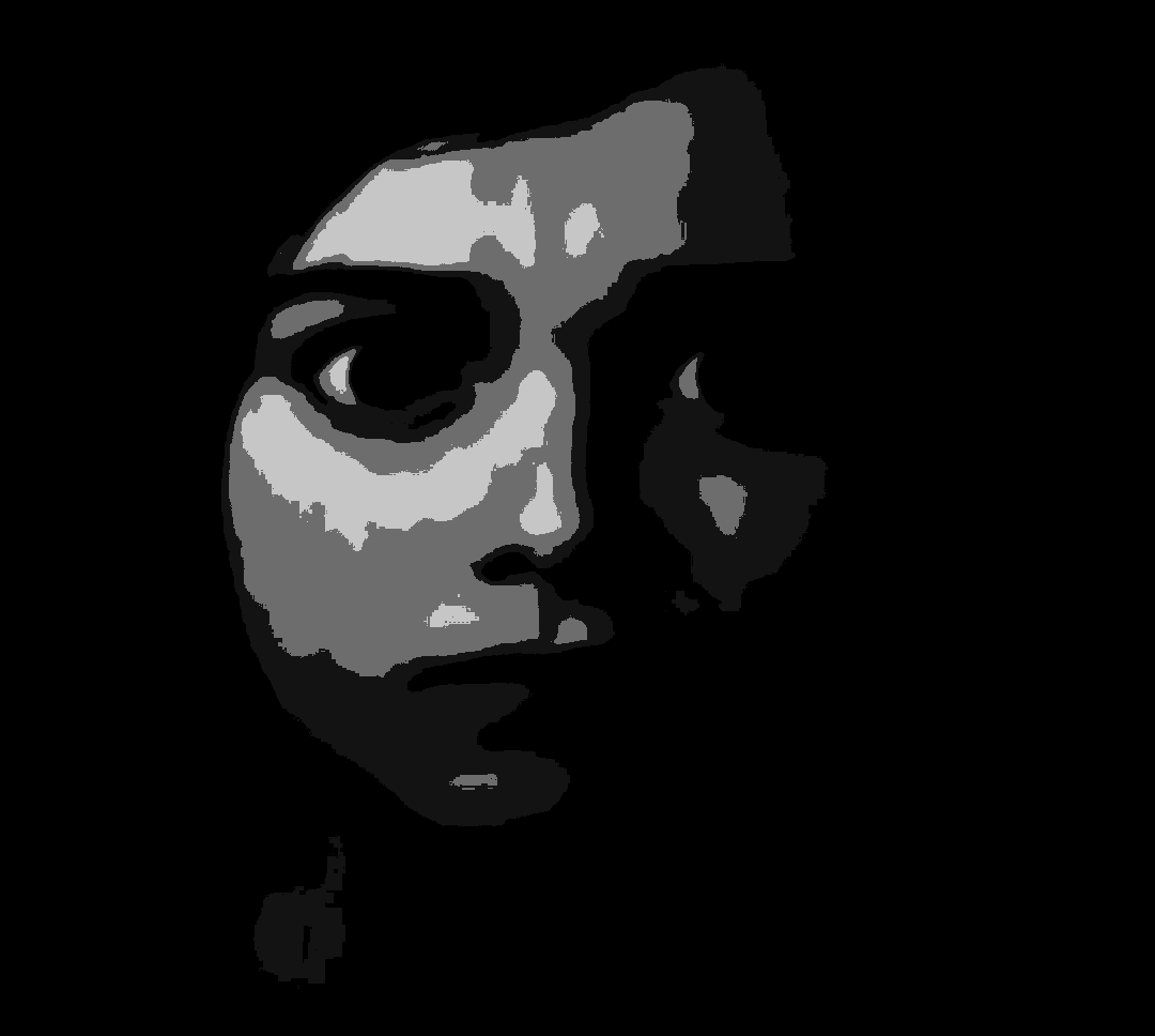 When you see a boykisser and he's actually Blank Meme Template