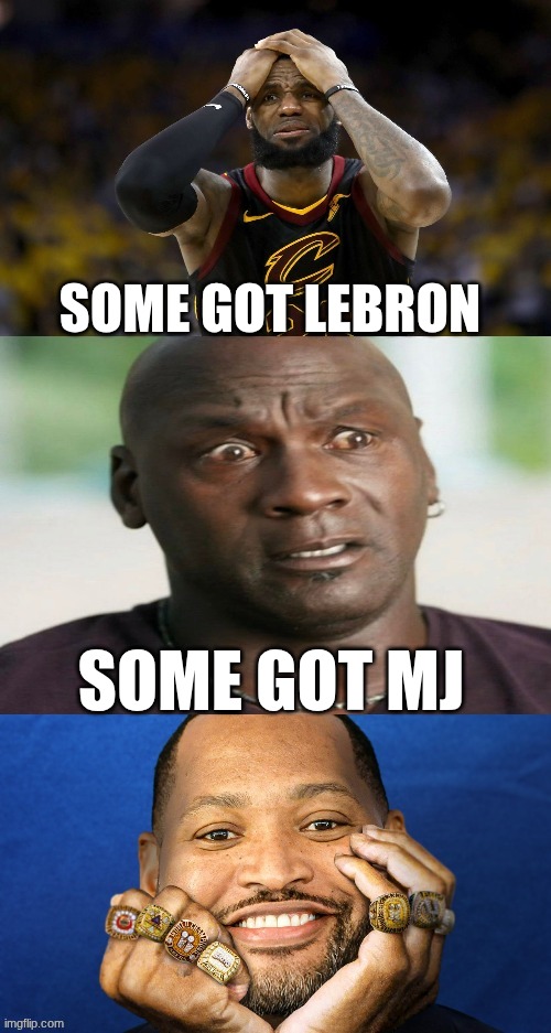 Robert Horry meme | SOME GOT LEBRON; SOME GOT MJ | image tagged in memes,nba,mj,lebron,lebron james,nba memes | made w/ Imgflip meme maker