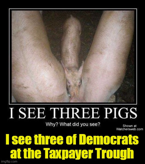 I see three of Democrats at the Taxpayer Trough | made w/ Imgflip meme maker
