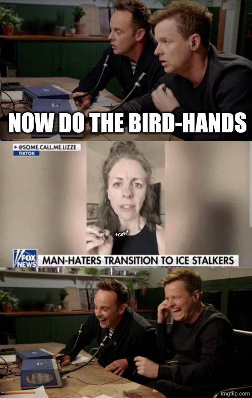 NOW DO THE BIRD-HANDS *caw* | image tagged in ant and dec opener,ant and dec laughing | made w/ Imgflip meme maker