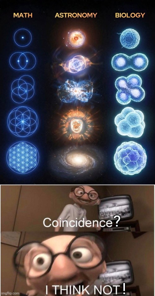 It's all connected | ? ! | image tagged in coincidence i think not,math,astronomy,biology,patterns,frequencies | made w/ Imgflip meme maker